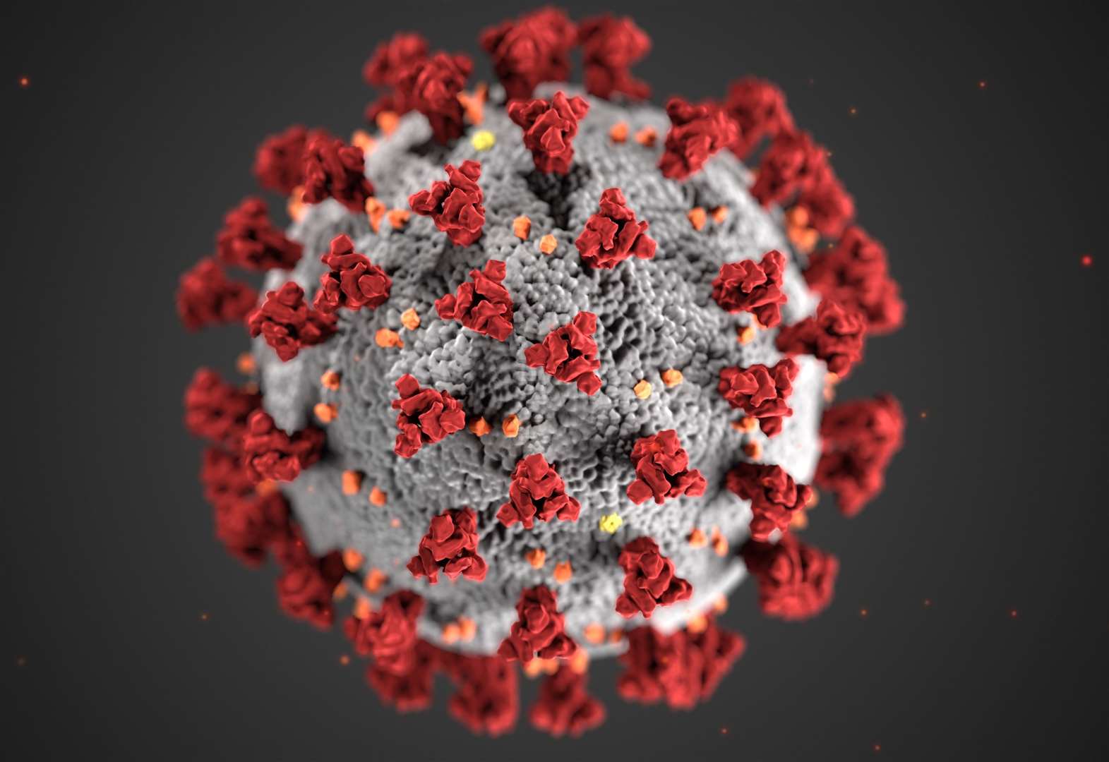 Covid 19 Causing Coronavirus Illustrated By Centers For Disease Control